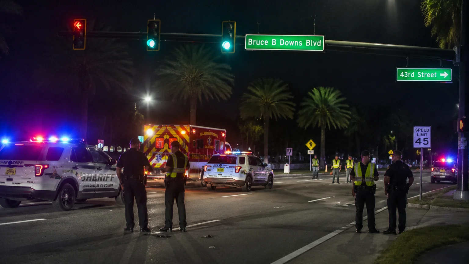Hit-and-run crash Bruce B. Downs 2026