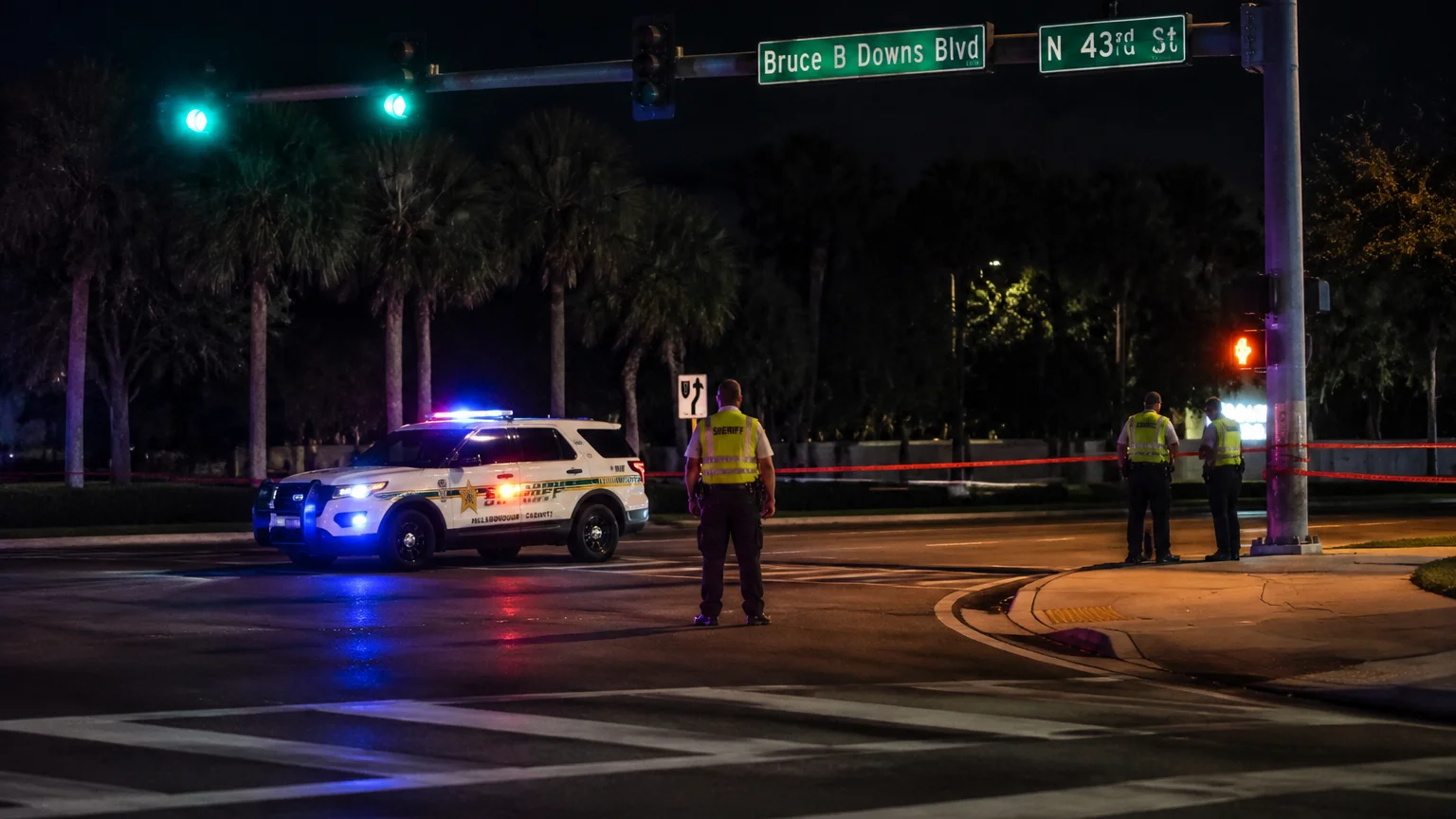 Fatal hit-and-run Tampa 2026 pedestrian killed at Bruce B. Downs
